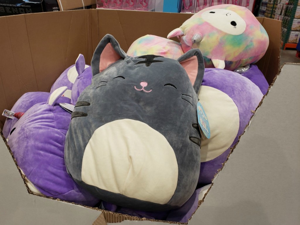 Gray kitty extra large Squishmallow plush in box in-store display at Costco warehouse