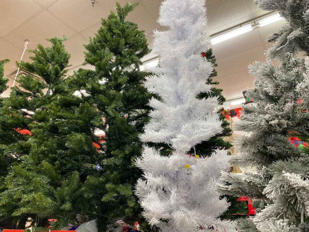 Norway White Slim Tree