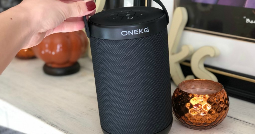 Potable Bluetooth Speaker on shelf in hand