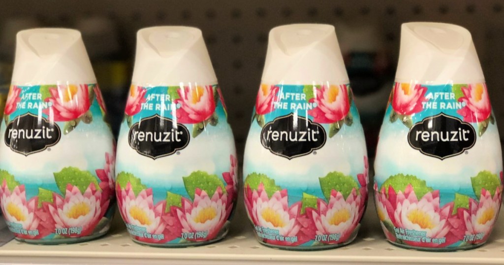 Renuzit After the Rain Air Fresheners