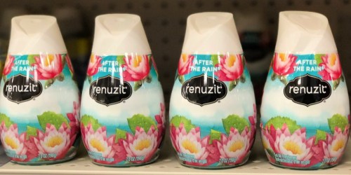 6 Renuzit Air Fresheners Only $3.56 on Walgreens.online | Just 59¢ Each