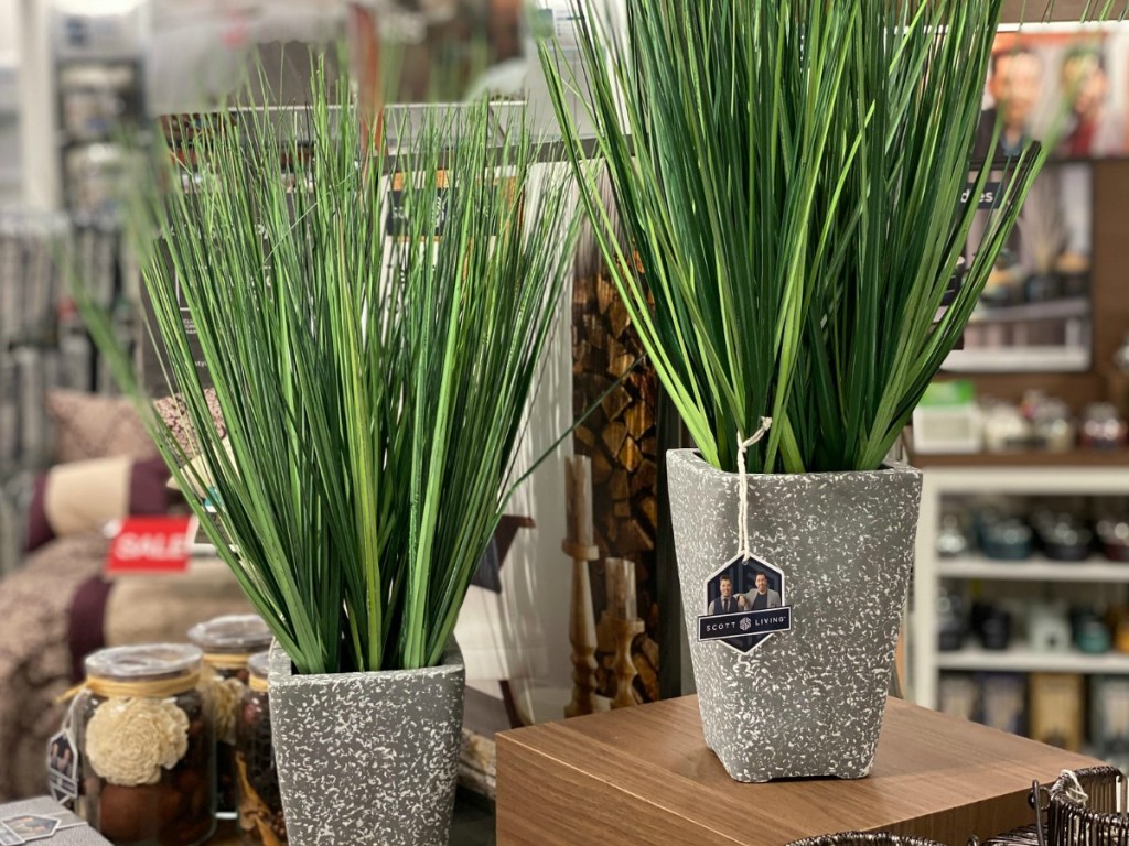 Grass plant home decor in store at Kohl's on display