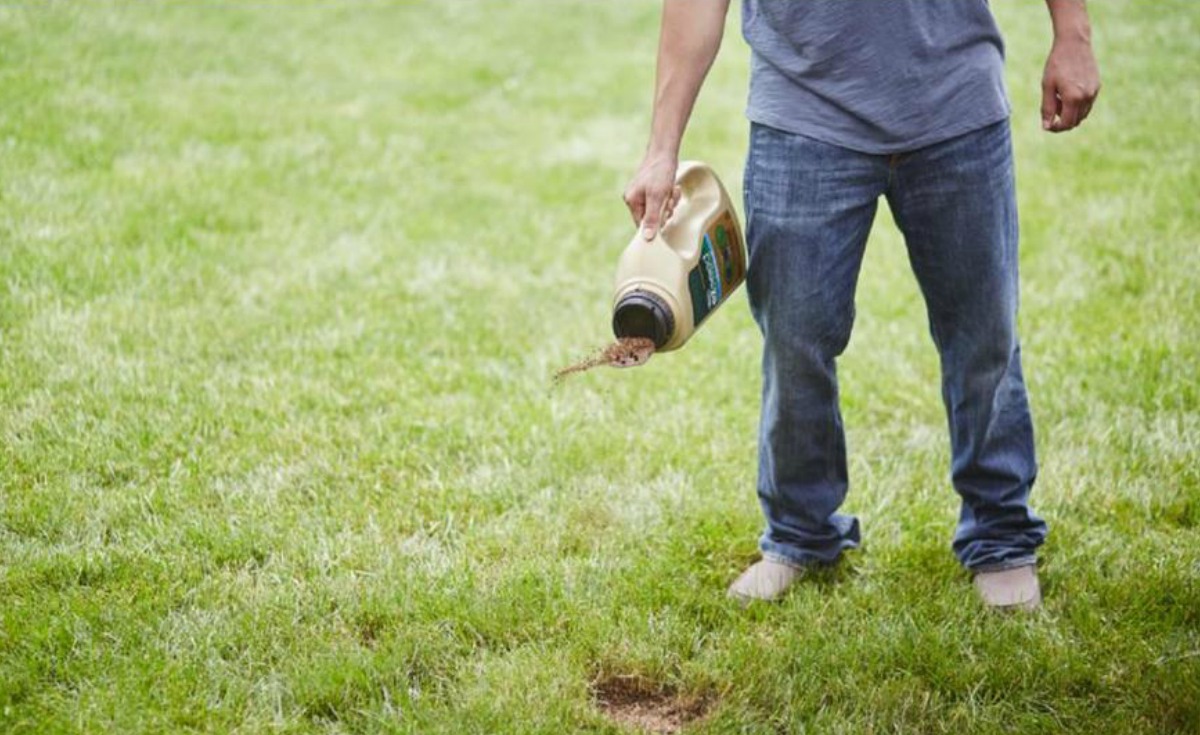 Man sprinkling lawn repair onto his yard