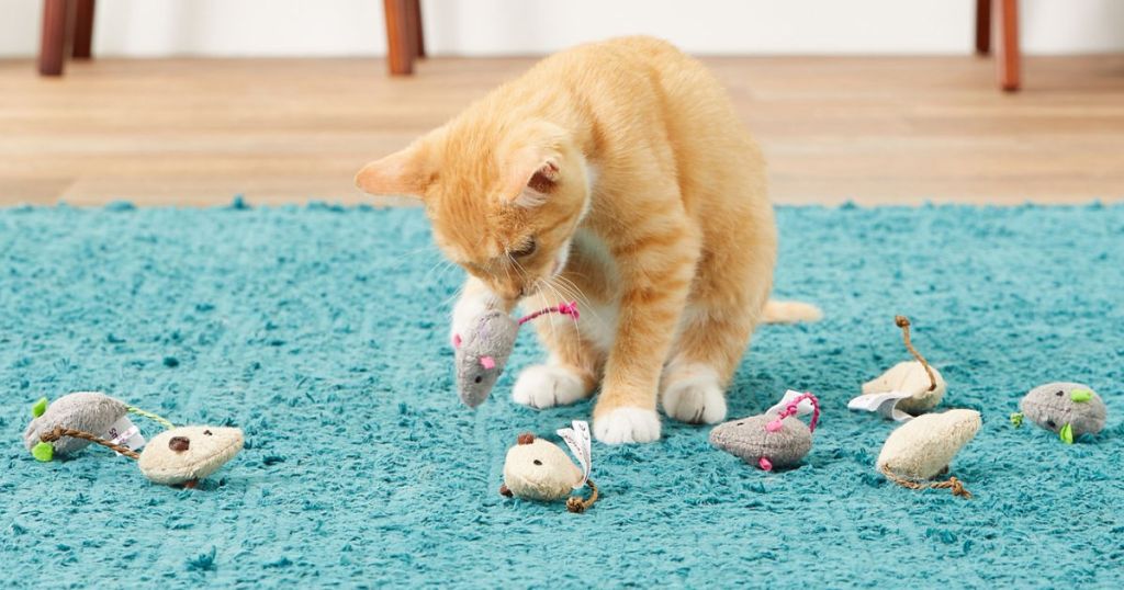 Cat playing with SmartyKat Cat Toys