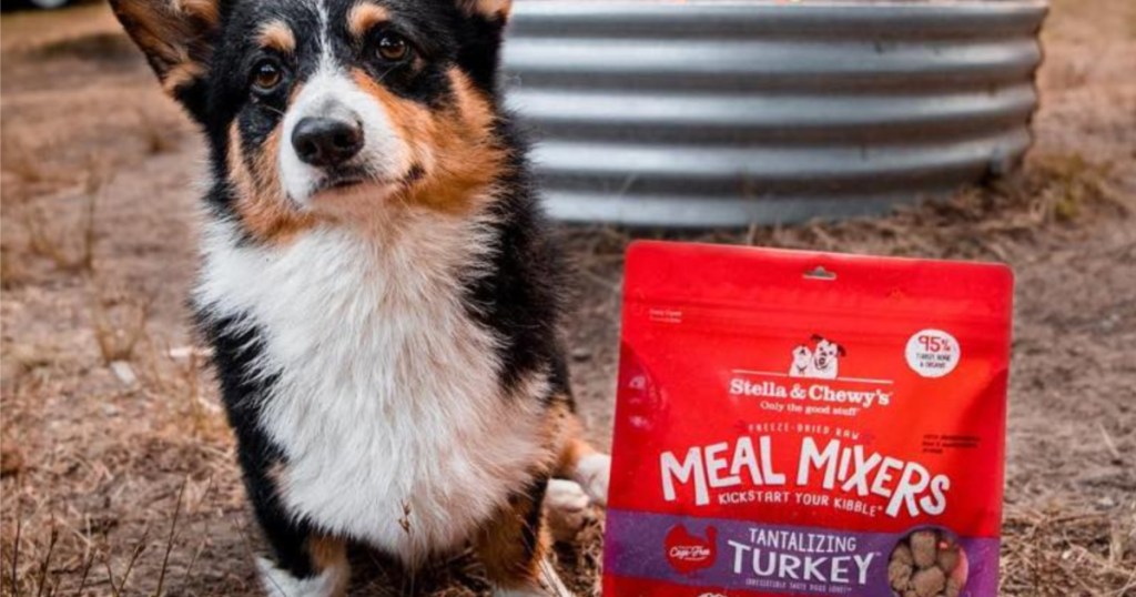 Stella & Chewy's Meal Mixers Tantalizing Turkey