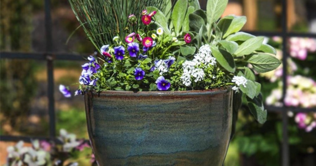 allen roth ceramic planter