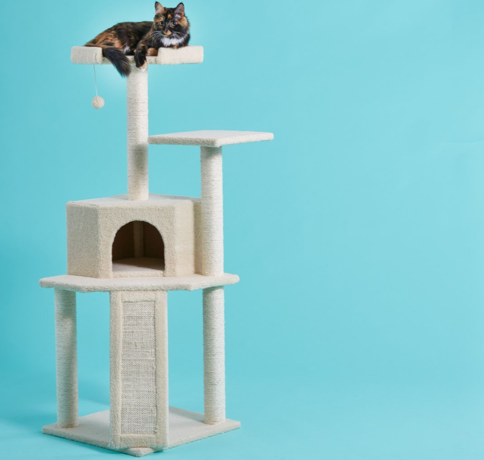 cat laying on top of cat tree