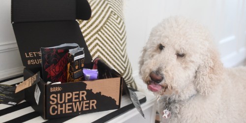 The Best Dog Subscription Boxes