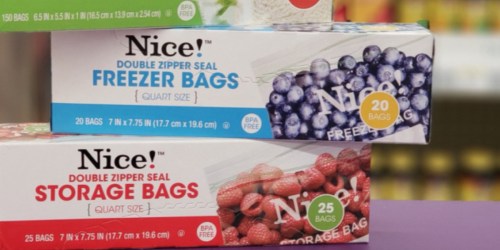 Nice! Brand Storage Bags Just 92¢ Each at Walgreens