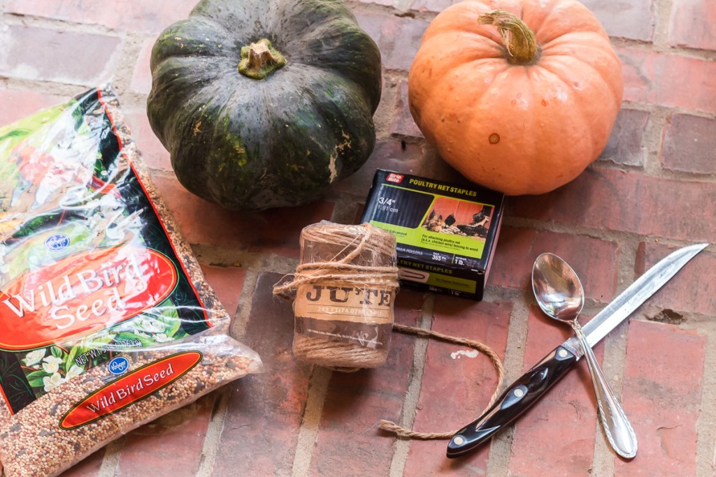 pumpkin birdfeeder 