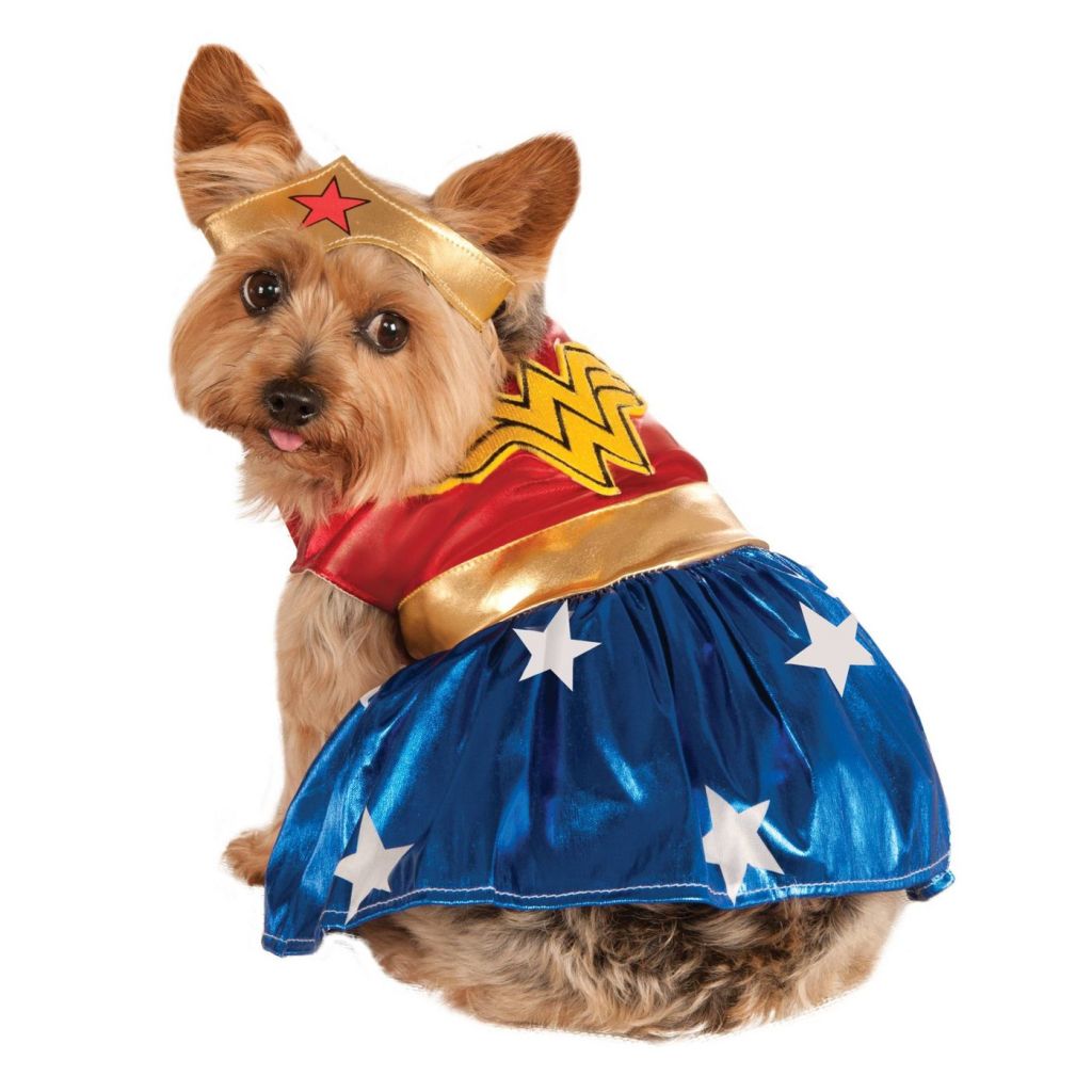 wonder woman pet costume