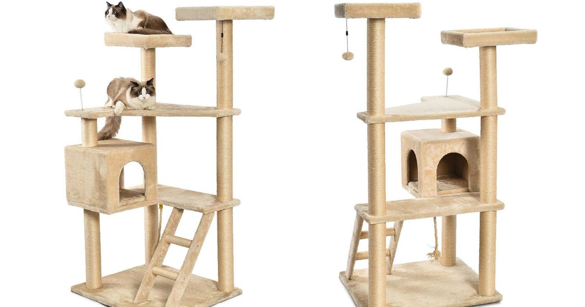 amazonbasics cat tree stock images