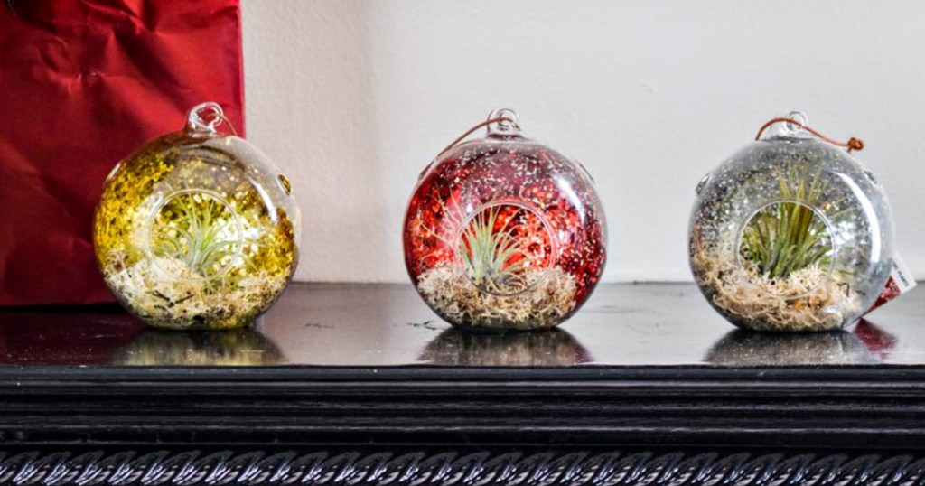 three costa farms plant ornaments