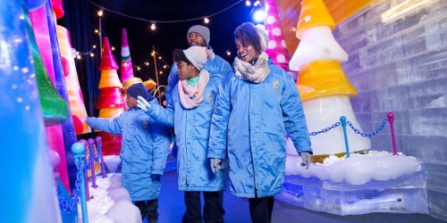 ICE! at Gaylord Hotels is BACK for Christmas (May Sell Out, Grab Your Tickets Now!)