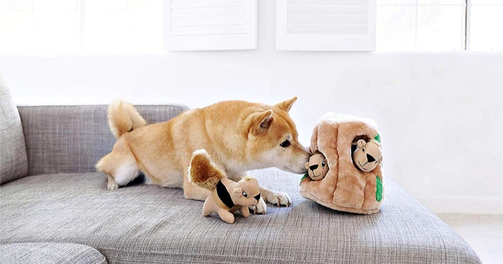 Outward Hound Interactive Puzzle Toys for Dogs