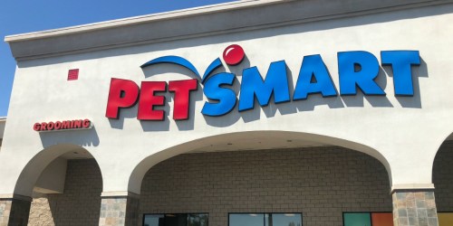 *HOT* 3 PetSmart Dog & Cat Toys Only $2 + FREE Pet Care Package