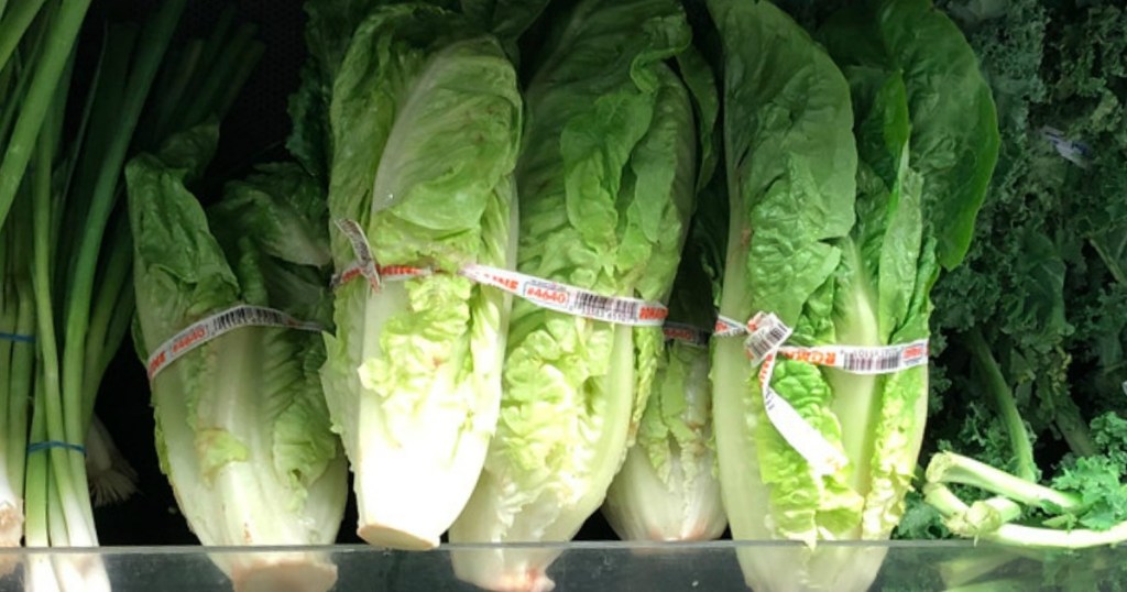 romaine lettuce at store