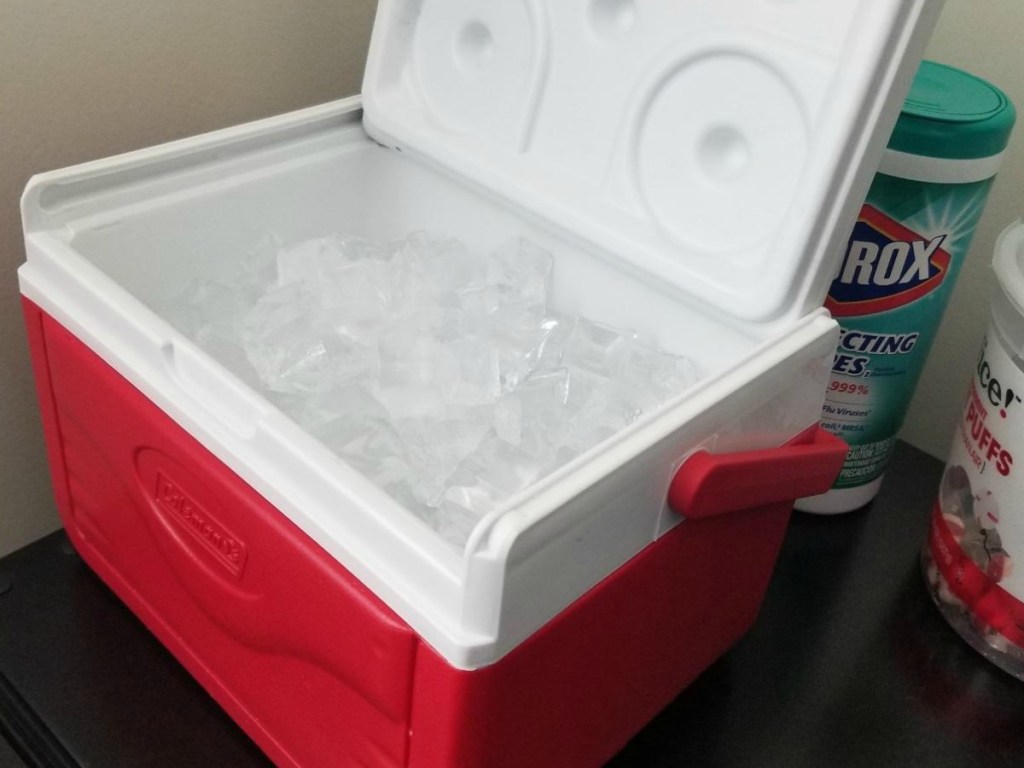 Coleman Cooler 5 quart