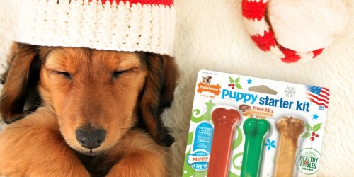 Up to 50% Off Holiday Dog Beds, Toys, & Apparel at Walmart.online