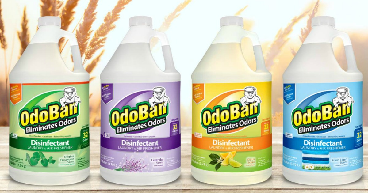 OdoBan bottles