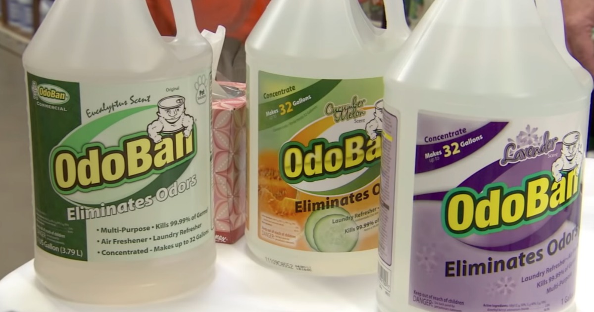 Odoball Gallon Cleaners