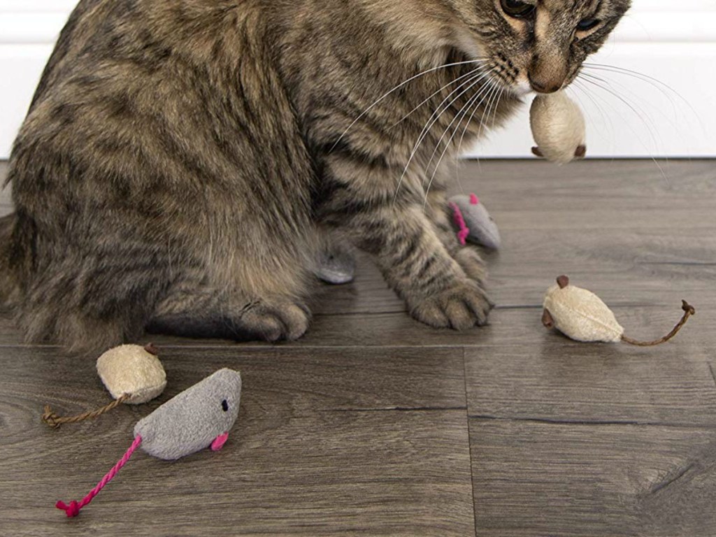 Cat playing with SmartyKat Catnip Cat Toys on a hardwood floor