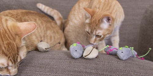 Catnip Cat Toys 3-Pack Only $1.97 on Amazon (Regularly $4)