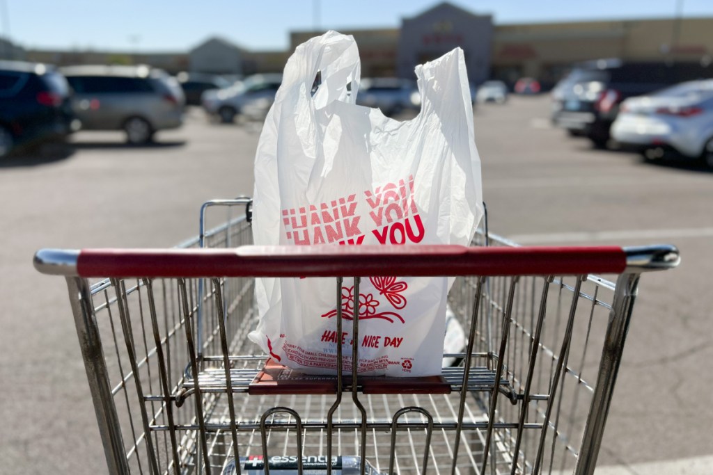 grocery bag in shopping cart in parking lot