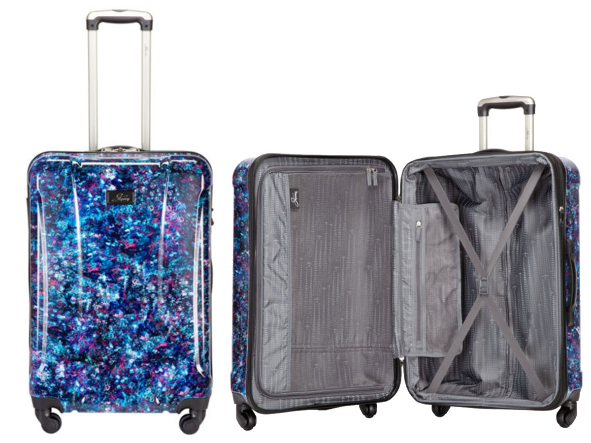 Skyway Chesapeake 2.0 24" Hardside Spinner Luggage stock image