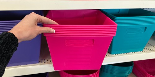 These Colorful New Storage Containers Are Only $1 at Dollar Tree!