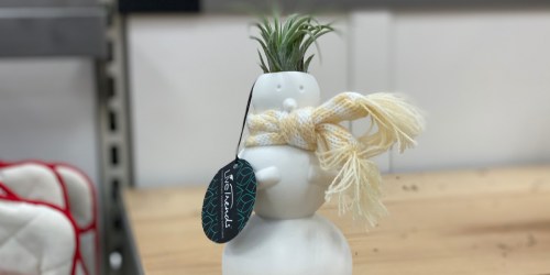 LiveTrends Ceramic Snowman With Air Plant Just $7.99 at Target