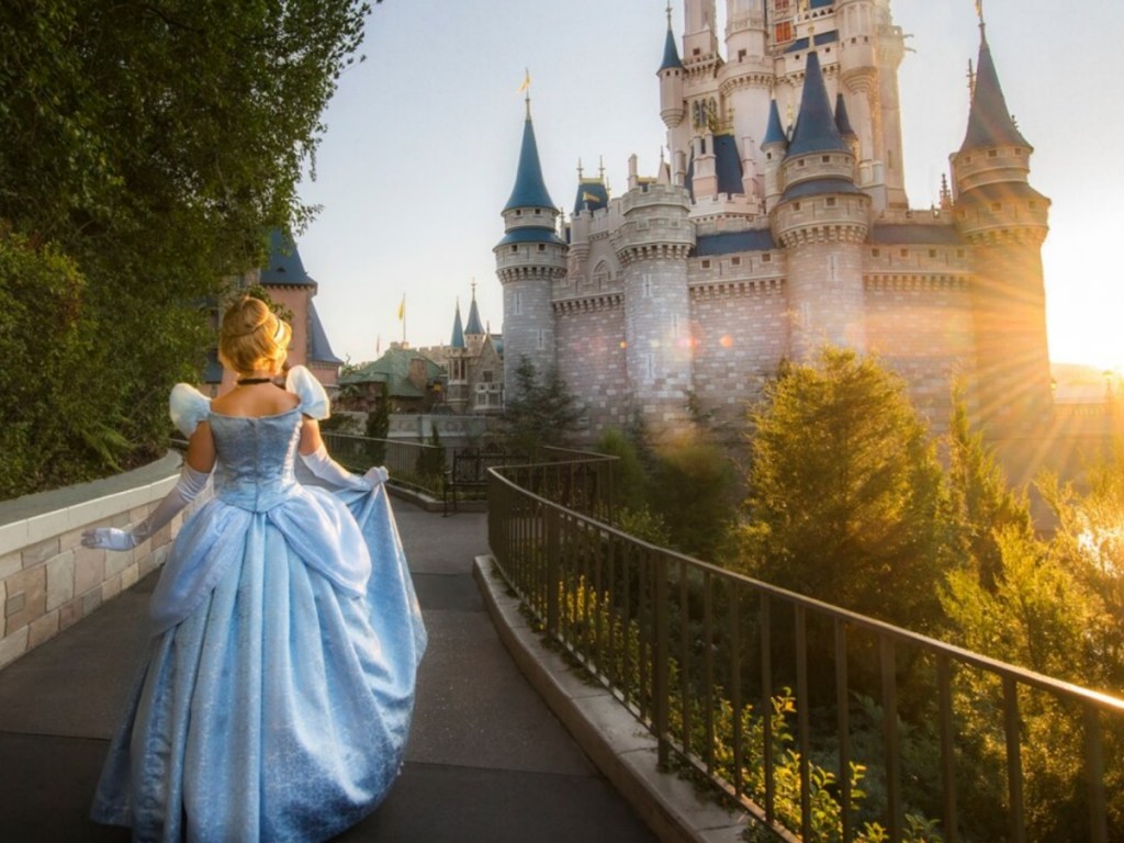 Cinderella costume at disney park