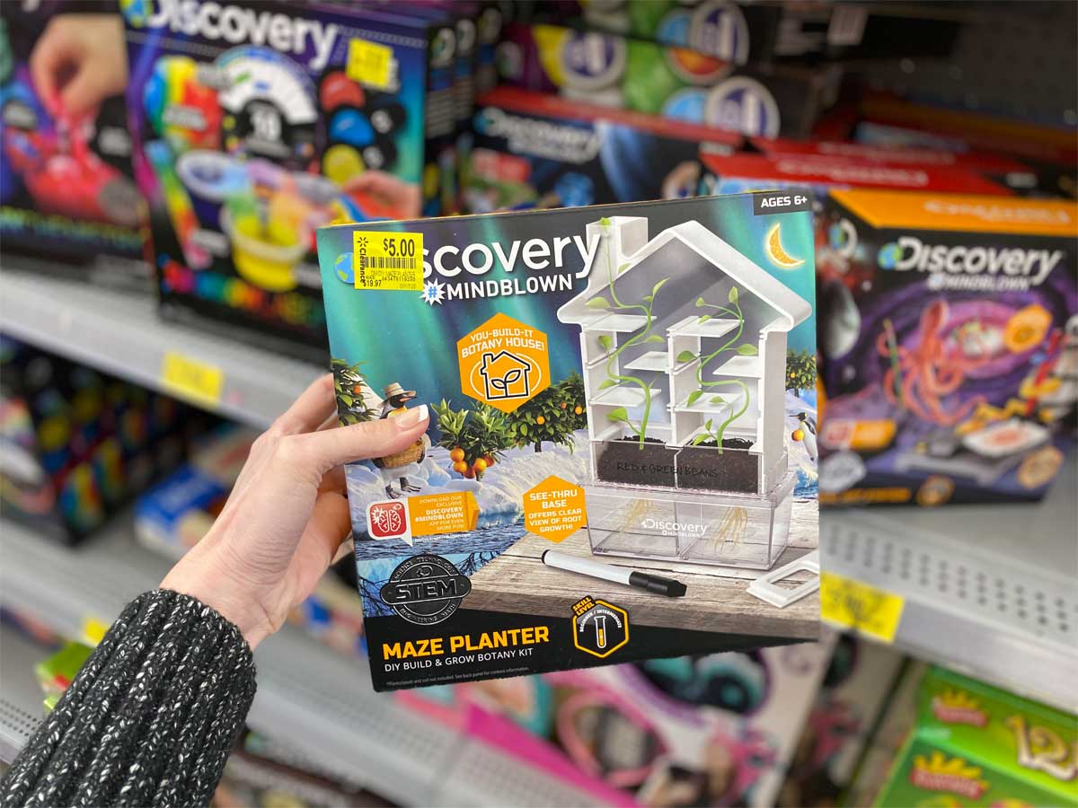 hand holding Discovery Kids DIY Maze Planter