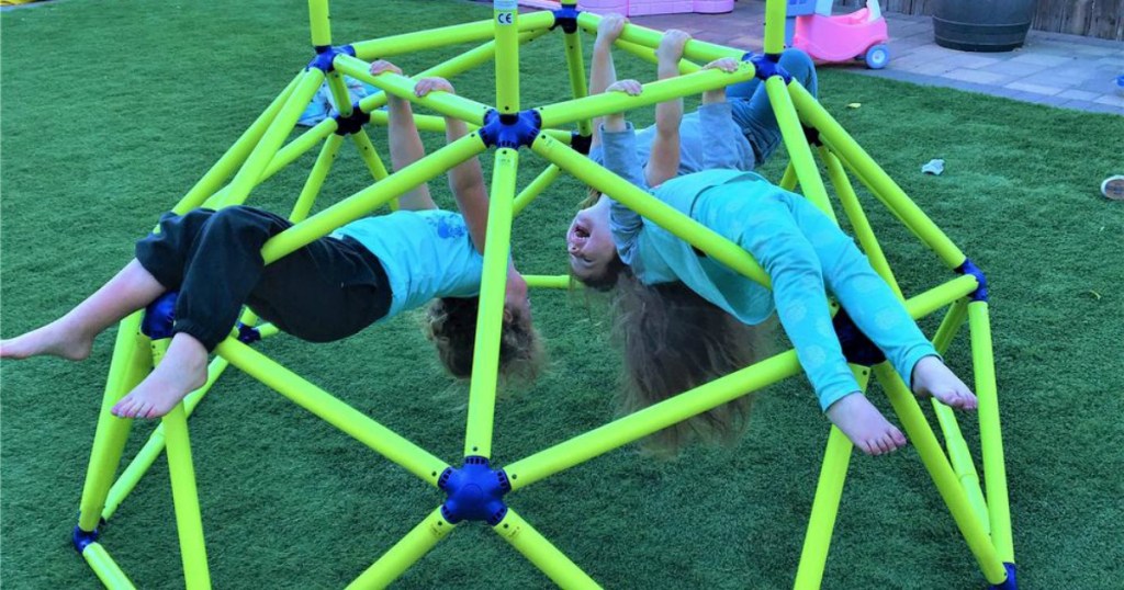 Dome Climber with kids hanging on it