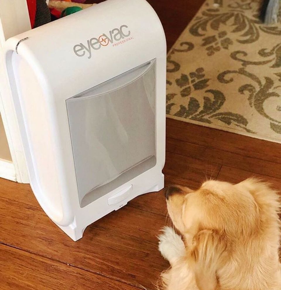 dog staring at an EyeVac Professional Vacuum