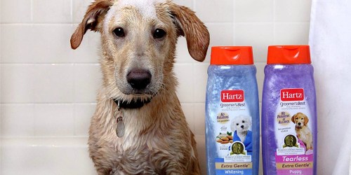 Hartz Groomer’s Best Dog Shampoo Just $1.47 Shipped on Amazon