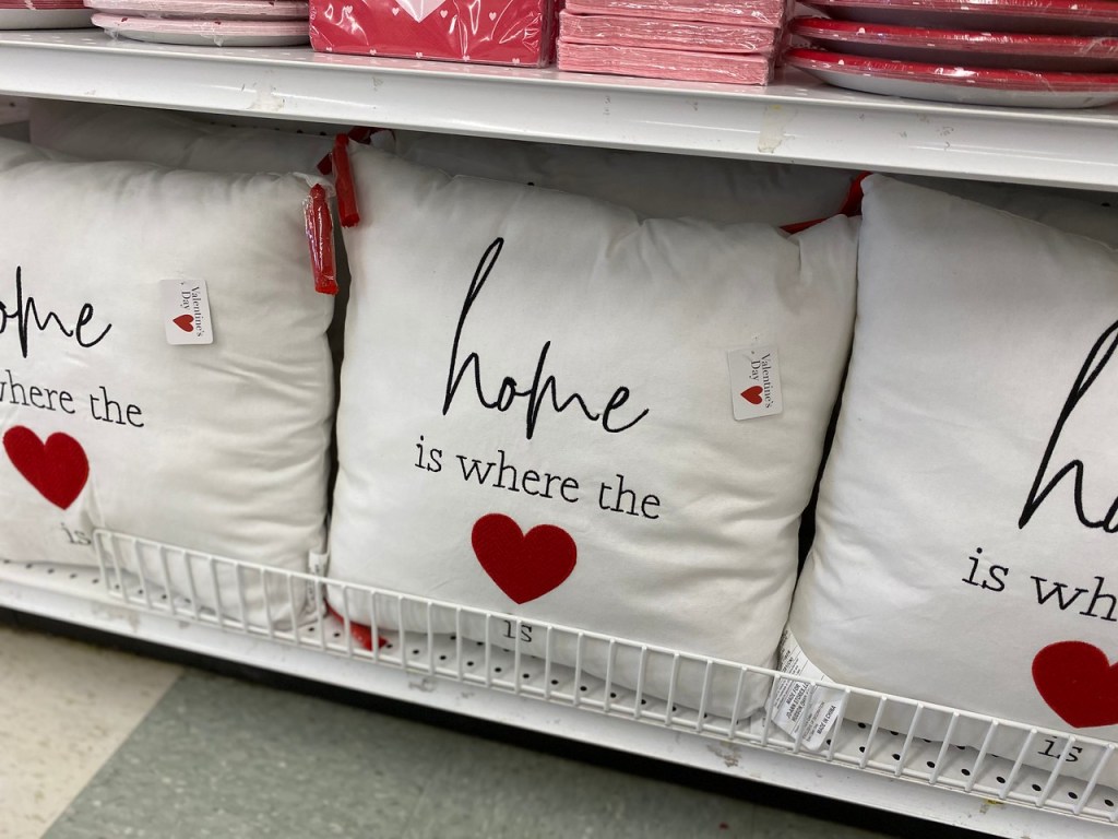 Home Pillows from Joann;s