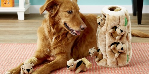 Up to 70% Off Dog Toys at Chewy.online