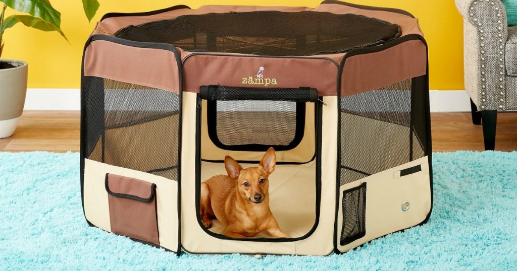 Medium sized play pen for pets with small dog inside in living room setting