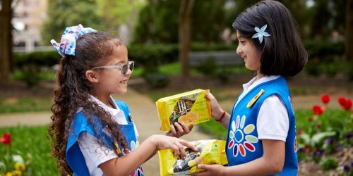 Girl Scout Cookie Season is BACK w/ New Lemon-Ups Cookies