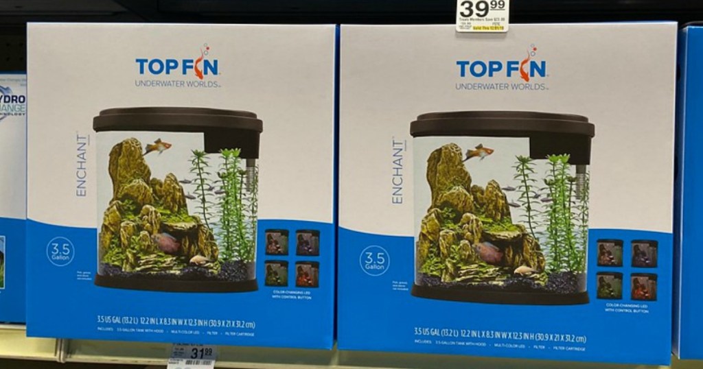 Top Fin Aquarium at Petsmart