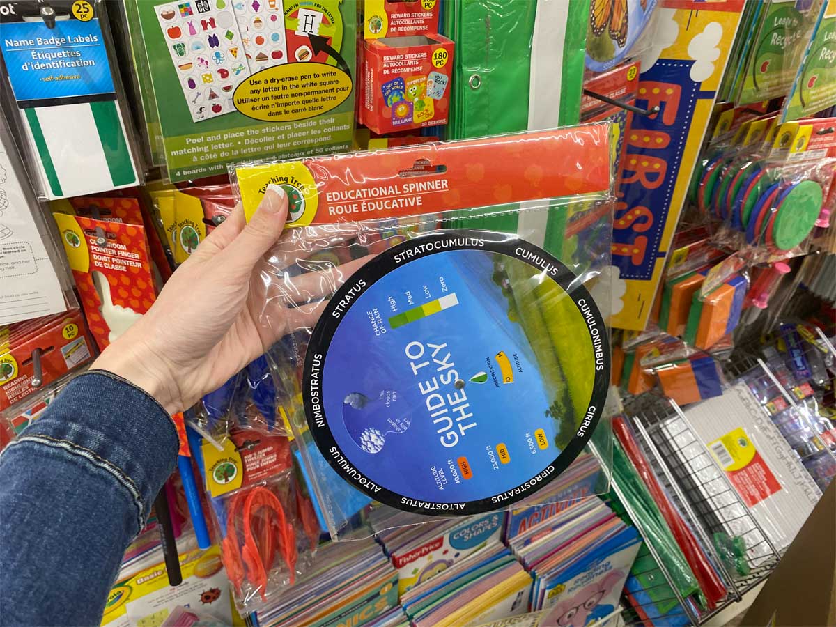 hand holding a teaching tree spinner