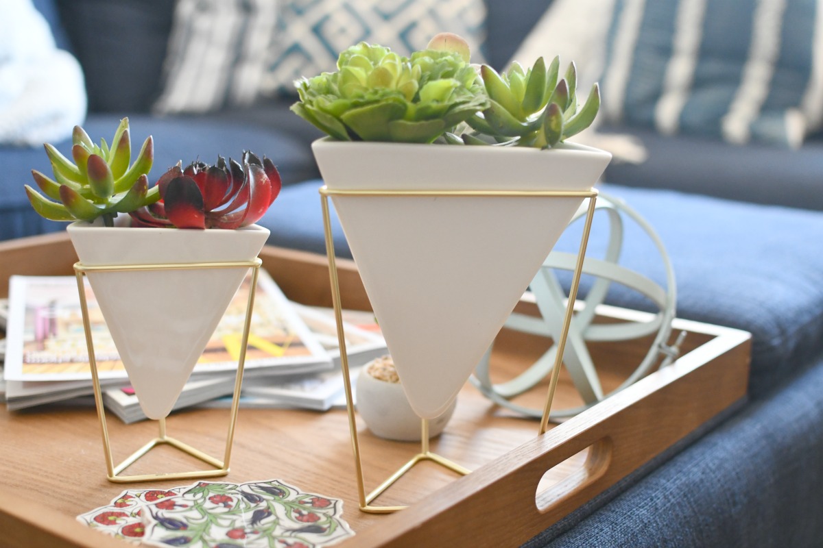 faux succulents in amazon umbra vessels