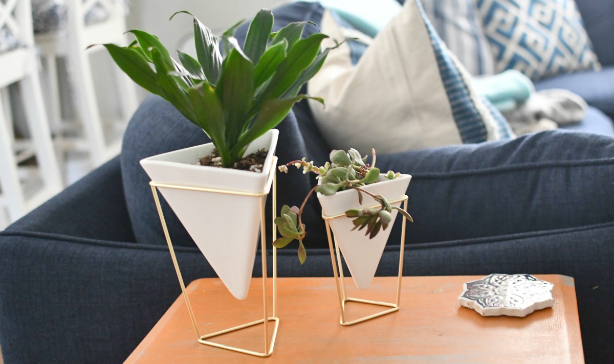 geometric vases with houseplants in theme