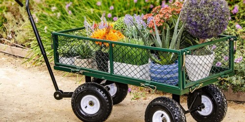 Bond Garden Cart Only $79.99 Shipped (Regularly $150)