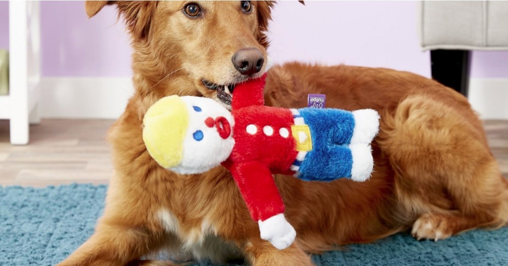 Dog with Mr. Bill Pet Toy in his mouth