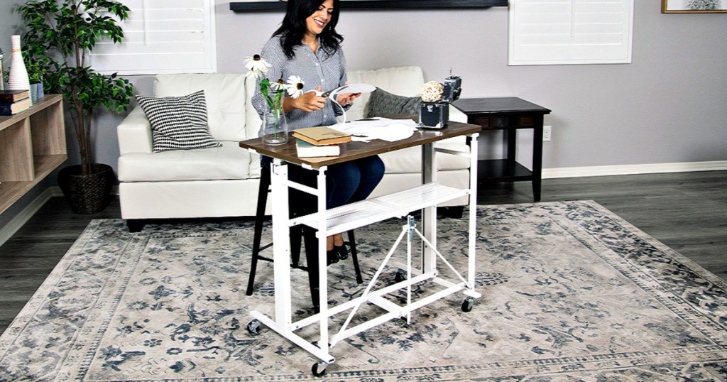 Sit-Stand Adjustable Fold-Away Desk & Workstation