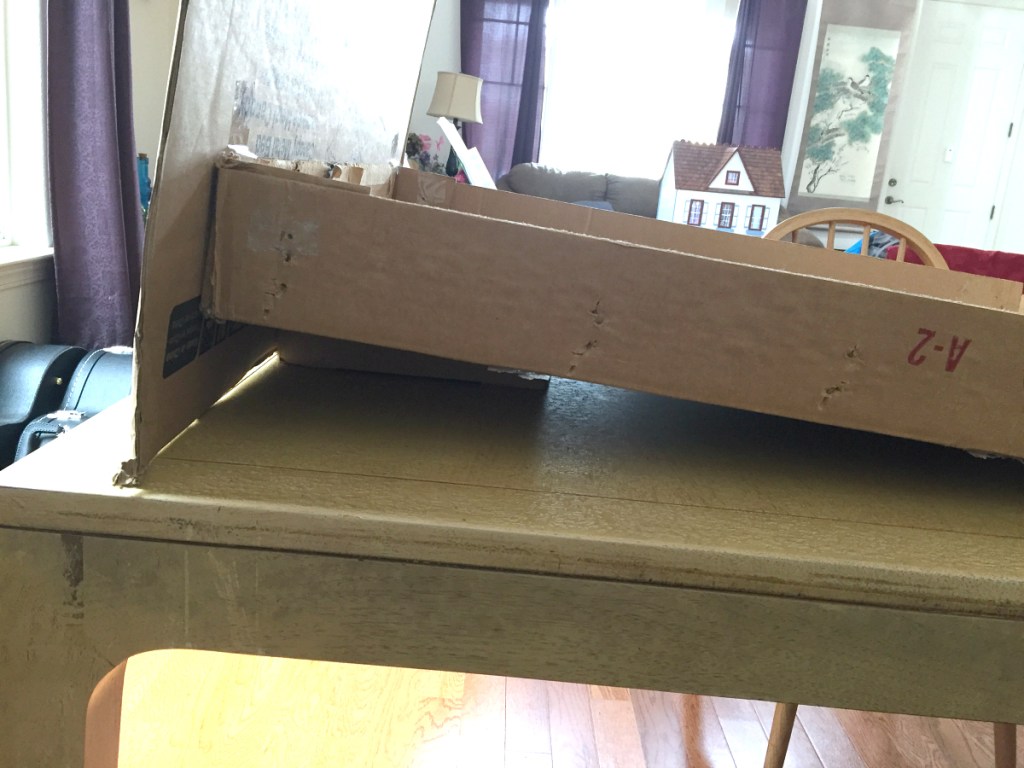 cardboard display on kitchen table