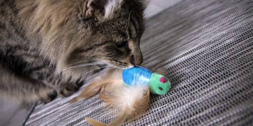 SmartyKat Electronic Sound Cat Toy Only $1.85 Shipped on Amazon (Regularly $4)