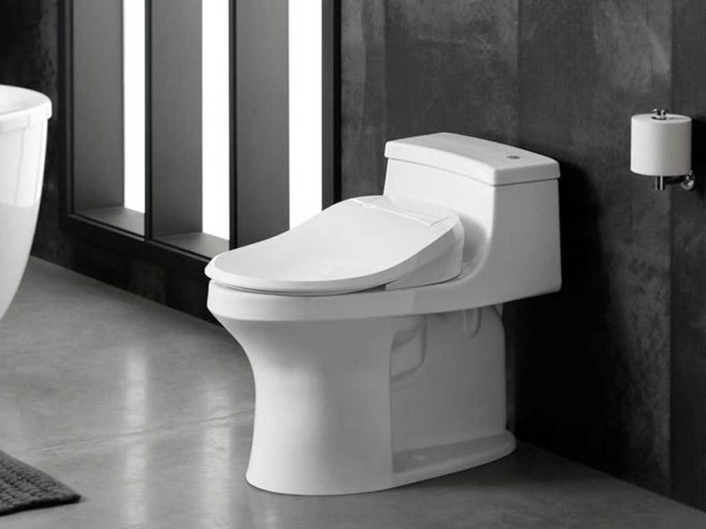 Kohler Electric Bidet Seat for Elongated Toilet